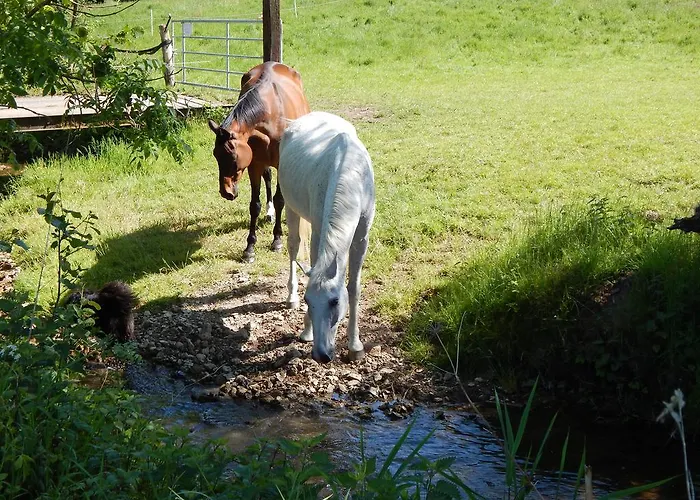 Reiter- Und Ferienhof Redder